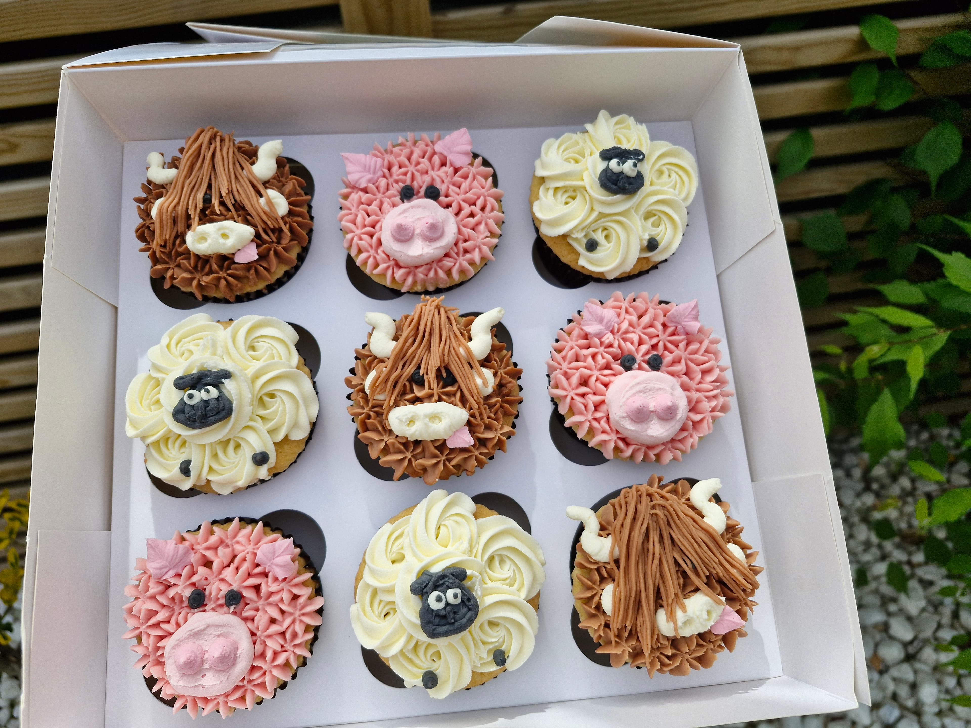 Cupcake creation 5
